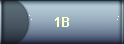 1B