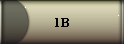 1B