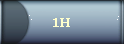 1H