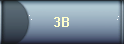 3B