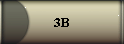 3B