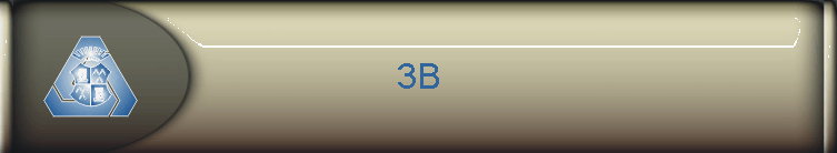 3B