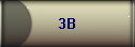 3B