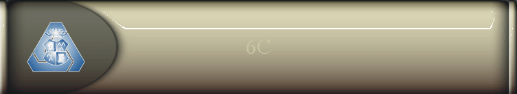 6C