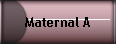 Maternal A