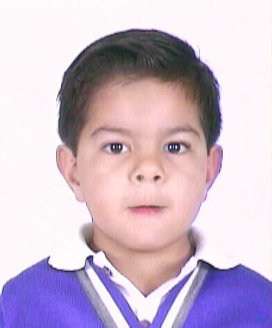 Luis Manuel Gallegos Tena