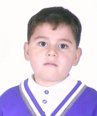 Luis Armando Mendoza Arias