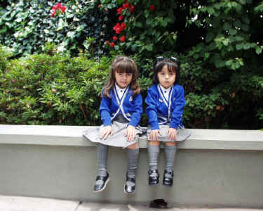 prefaltantes07.jpg (126805 bytes)